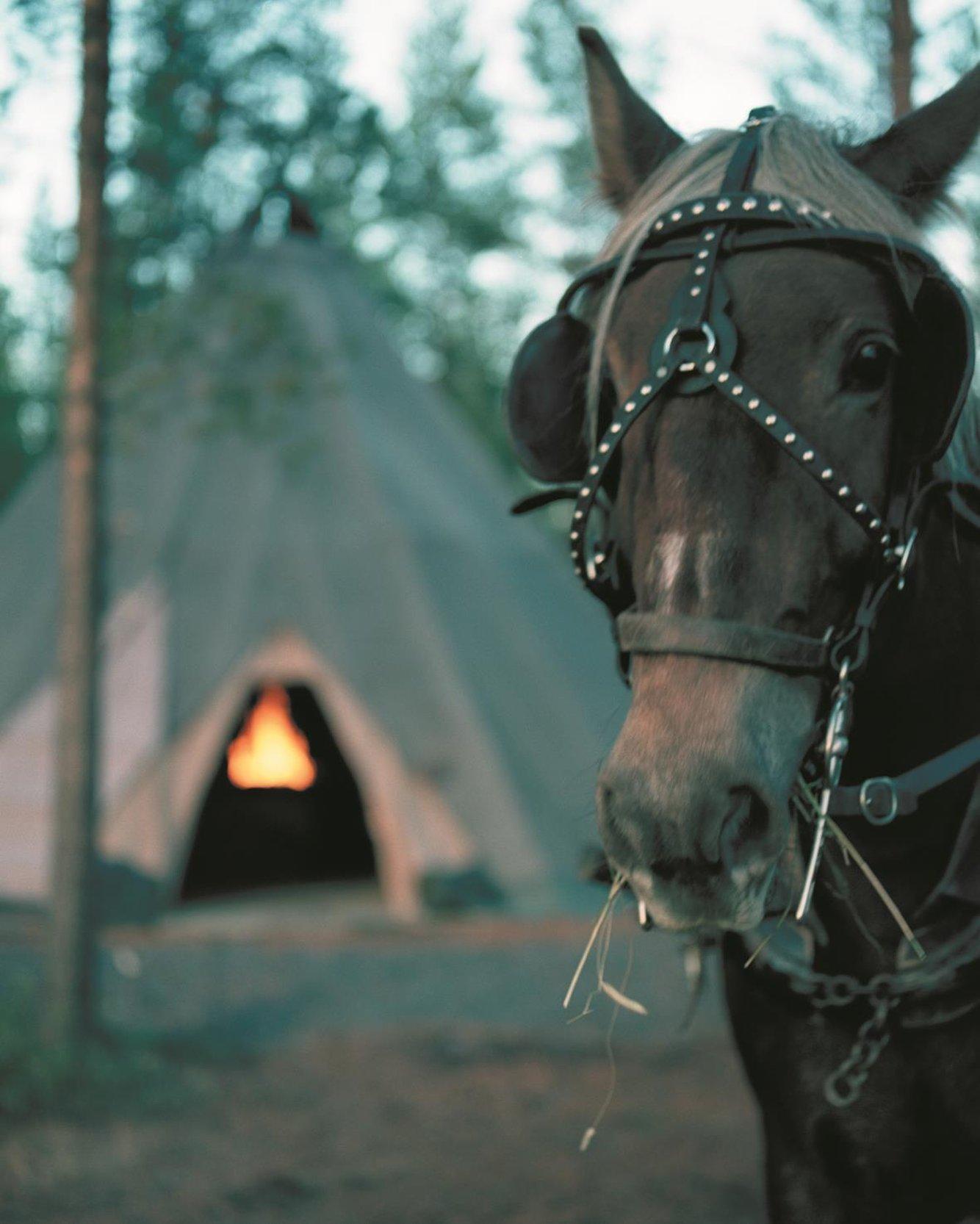 Nordkalotten Hotell & Konferens Luleå Екстериор снимка